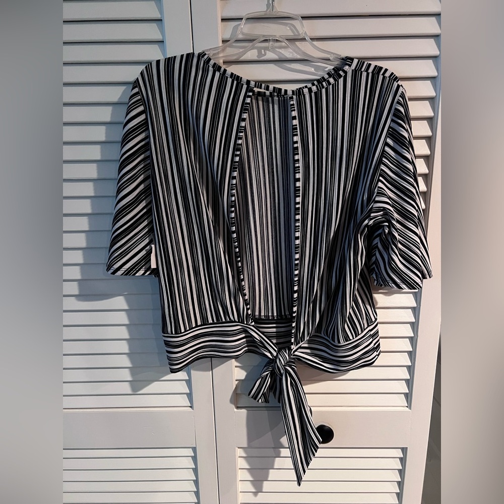 Daytrip Black and White Striped Blouse